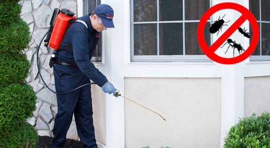 Dernekpazarı Haşere İlaçlama böcek ilaçlama ve haşere kontrolü — ilaclama-tr.com
